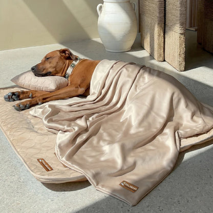 FreshPaw™ – Cooling Mat for Dogs