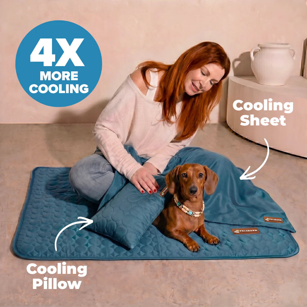 FreshPaw™ – Cooling Mat for Dogs