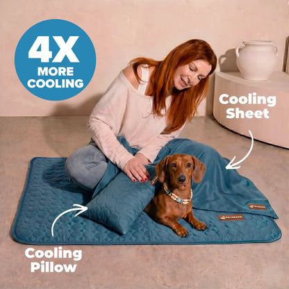 FreshPaw™ – Cooling Mat for Dogs