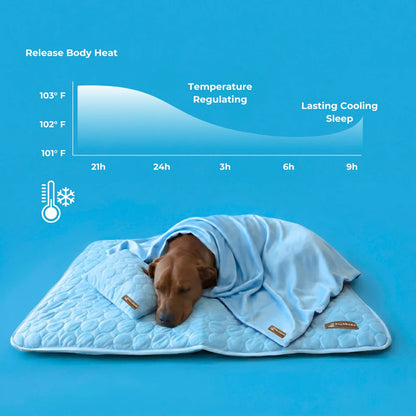 FreshPaw™ – Cooling Mat for Dogs