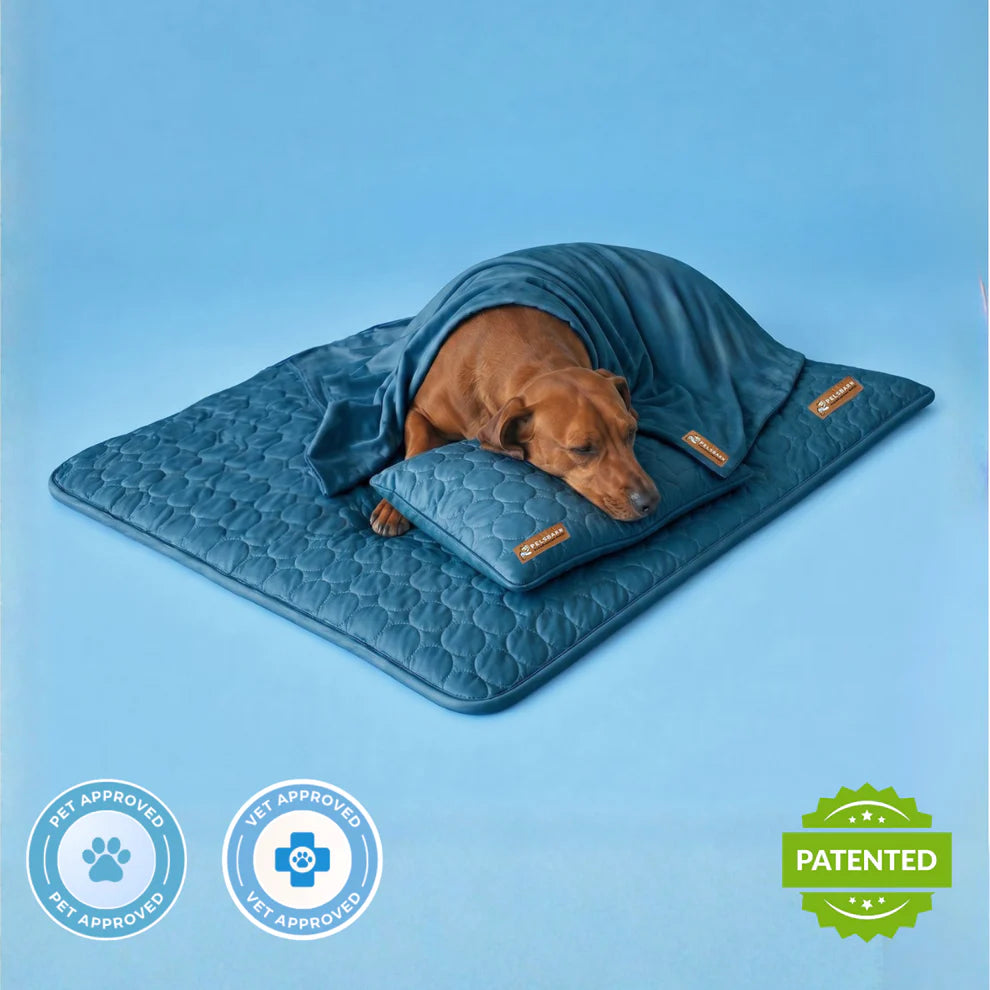 FreshPaw™ – Cooling Mat for Dogs